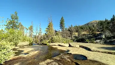 Surviving the Wild: Your Shenanigan Guide to Musick Creek Falls